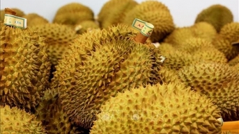 Điểm tên 6 mặt hàng nông lâm thủy sản xuất khẩu vượt mốc 3 tỷ USD năm 2023