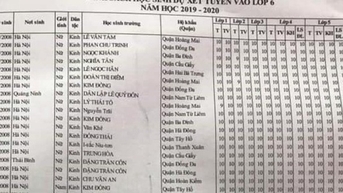 Học bạ toàn 10 mới được thi lớp 6 trường 'Ams' và nỗi lo 'chạy học bạ'