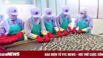 Cà Mau đẩy mạnh chuyển đổi số và phát triển công nghiệp xanh