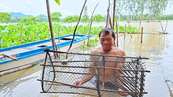 Mùa nước nổi An Giang, dưới sông "con nước đã lừ đừ chín đỏ", dân câu lưới đã bắt được cá đồng ngon