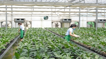 Mở ra chương mới cho nông nghiệp, nông thôn