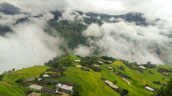 Hoàng Su Phì, Mù Cang Chải sẵn sàng đón du khách săn mùa vàng