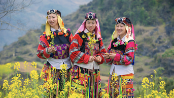 Làng Lô Lô Chải đẹp mê mẩn trên cao nguyên đá Hà Giang