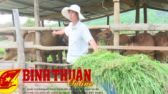 Phát huy hiệu quả Quỹ hỗ trợ nông dân