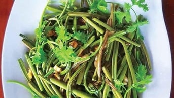 Thứ rau dại lạ miệng ở Quảng Ngãi, vô rừng dừa nước vặt rau ráng đem về xào tỏi, cả làng thèm ăn