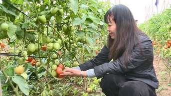 hướng đến “nông nghiệp thuận thiên”