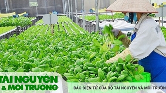 농지 이용 효율성 향상