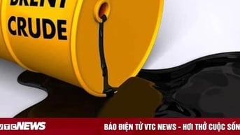 Giá xăng dầu hôm nay 19/11: Hồi phục sau nhiều phiên suy giảm