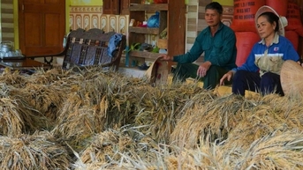 130ha lúa tan hoang sau lũ, xã nghèo thiệt hại 10 tỷ đồng