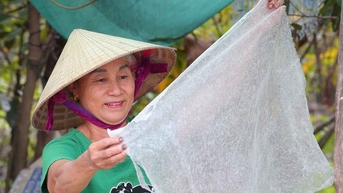 Mai một làng nghề giấy dó độc nhất xứ Nghệ