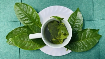 7 món ăn uống có thể gây đau nửa đầu