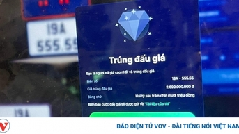 “Đấu giá biển số xe kinh doanh vận tải và xe mô tô là rất cần thiết”