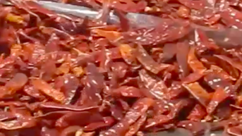 នាយកដ្ឋានការពាររុក្ខជាតិបដិសេធកូរ៉េខាងត្បូងហាមឃាត់ការនាំចូលម្ទេសពីប្រទេសវៀតណាម