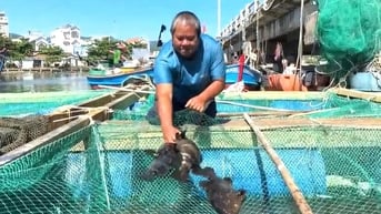 Cần quy hoạch vùng nuôi thủy sản lâu dài để bà con nông dân yên tâm đầu tư