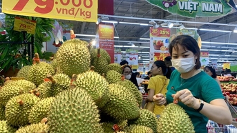 Giá sầu riêng tăng quá cao, nhiều đối tác Trung Quốc muốn giảm đơn hàng