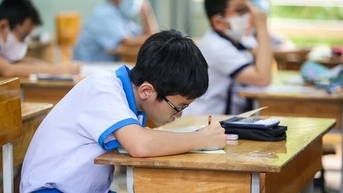 Bài khảo sát gồm nội dung gì?