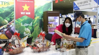 Hợp tác kinh tế Việt Nam - Hàn Quốc: Nâng tầm cả chất và lượng