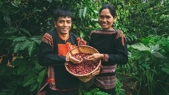 Nỗ lực để Việt Nam trở thành quốc gia tiên phong về sản xuất cà phê không gây mất rừng