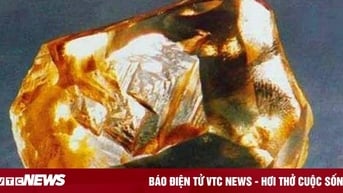 Cuốc đất nhặt được hòn đá óng ánh, cô gái không ngờ nó trị giá 3.300 tỷ đồng