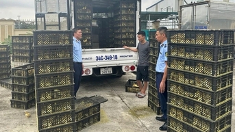 Nhập lậu gia cầm vẫn tiếp diễn, 3 tỉnh Quảng Ninh, Lạng Sơn, Lào Cai cần quyết liệt ngăn chặn, xử lý