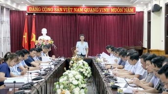 Thẩm tra dự thảo nghị quyết lĩnh vực kinh tế ngân sách