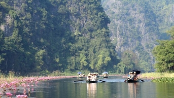 Dòng sông Ngô Đồng ở Tam Cốc-Bích Động của Ninh Bình đẹp phát hờn bởi hoa súng nở dày đặc