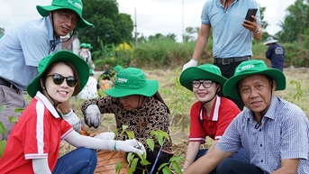 INSEE phủ xanh khu vực nông thôn mới vì thế hệ mai sau