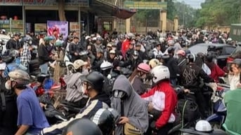 Khách dậy từ nửa đêm đi ngắm dã quỳ, đường vào Vườn Quốc gia Ba Vì tắc dài