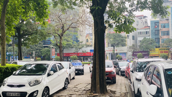 Gian nan xử lý ô tô đỗ tràn lan vỉa hè, lòng đường