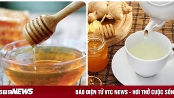 4 nhóm người 'đại kỵ' với mật ong