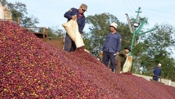Nông nghiệp có thêm 3 nhóm hàng xuất khẩu tỷ đô