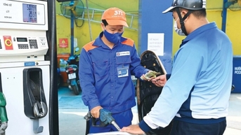 Giá xăng dầu hôm nay 20/11/2024: Ổn định