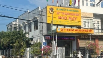 Đề nghị đình chỉ chủ tịch HĐQT