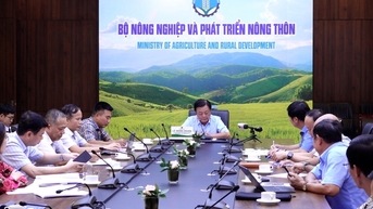 Cà Mau, Đồng Tháp, An Giang kiến nghị xây dựng công trình phòng, chống sạt lở, đường cao tốc, nhà ở thương mại