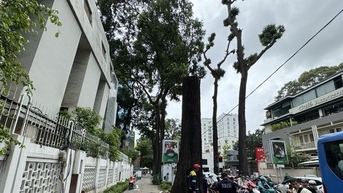 TPHCM khẩn trương ứng phó bão số 6 Trà Mi
