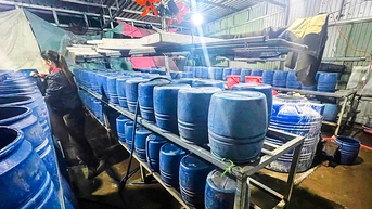 Không khởi tố chủ cơ sở trồng giá bằng hóa chất độc hại ở Huế, chỉ phạt 45 triệu đồng