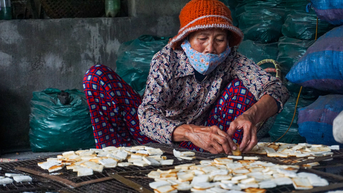 ឯកទេស Da Nang ក្នុងរដូវផលិត Tet
