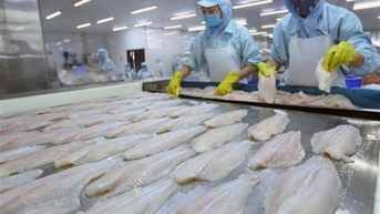 Nam Việt (ANV) lãi Quý 1 sụt giảm 72%, mới hoàn thành 8% mục tiêu sau 3 tháng