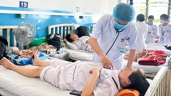 TP.HCM: Dịch sốt xuất huyết có dấu hiệu gia tăng liên tục