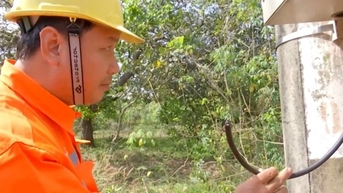 1 năm, hơn 30 vụ mất trộm vật tư, thiết bị lưới điện ở Đồng Nai