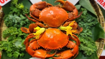 Nâng tầm thương hiệu du lịch Cà Mau