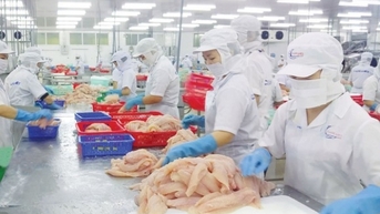 Điểm danh 7 mặt hàng nông, lâm, thủy sản có giá trị xuất khẩu đạt trên 1 tỷ USD