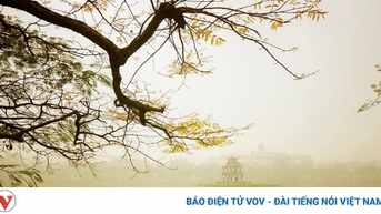 នឹកដល់ទីក្រុងហាណូយ ចម្រៀងដែលចាក់ដោតបេះដូងអ្នកចូលចិត្តតន្ត្រីរាប់លាននាក់