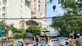 Hơn 300 Thanh tra phân luồng, đảm bảo trật tự chiến dịch thu dọn cây xanh đổ
