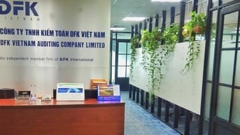 Vì sao công ty kiểm toán Sài Gòn Đại Ninh và Quốc Cường Gia Lai bị đình chỉ?
