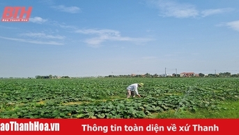 ការអនុវត្តវិទ្យាសាស្ត្រ និងបច្ចេកវិទ្យាក្នុងការផលិតបន្លែ
