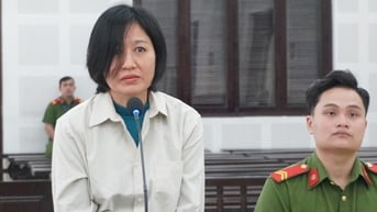 Nữ giám đốc 2 công ty trốn thuế trên 37 tỉ đồng