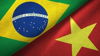 Tổng quan về Thương vụ Việt Nam tại Brazil