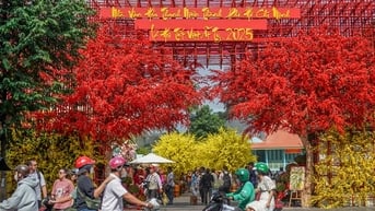 Đường phố TPHCM rực rỡ ngập tràn sắc xuân