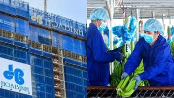 Nhà đầu tư như "ngồi trên lửa" khi gần 1,5 tỷ cổ phiếu HBC và HNG bị hủy niêm yết